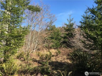 0 Summit Lake Road NW, Olympia, WA 98502 - Photo 9