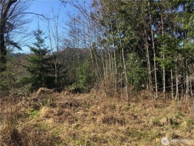 0 Summit Lake Road NW, Olympia, WA 98502 - Photo 16