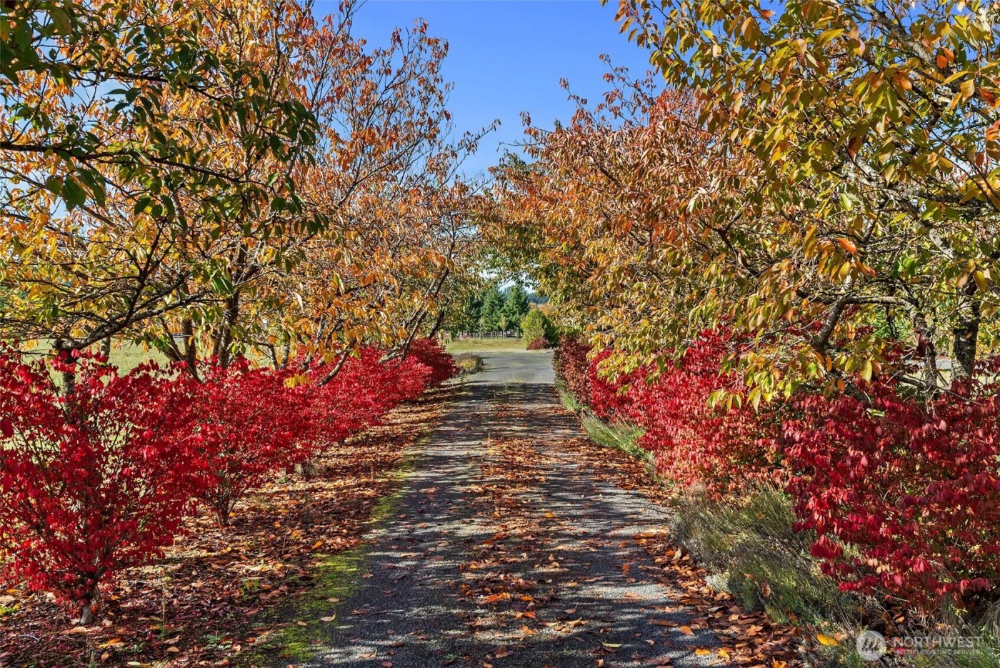 395 Ceres Hill Road , Chehalis, WA 98532