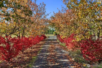 395 Ceres Hill Road , Chehalis, WA 98532 - Photo 3