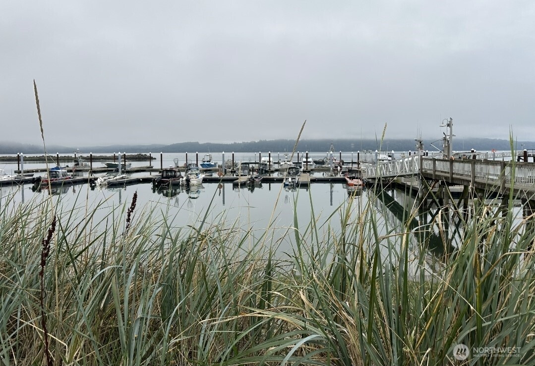 2900 Wheeler Avenue , Tokeland, WA 98590