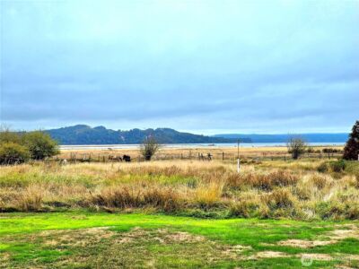 2900 Wheeler Avenue , Tokeland, WA 98590 - Photo 5