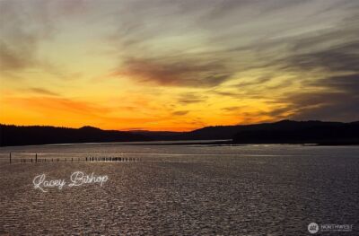 2900 Wheeler Avenue , Tokeland, WA 98590 - Photo 6