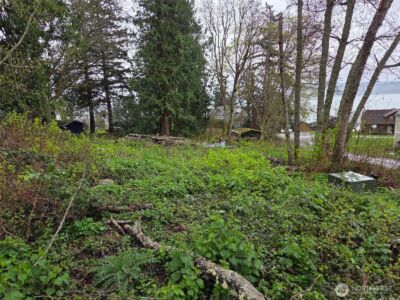 61 M Cascade Drive , Hat Island, WA 98206 - Photo 6