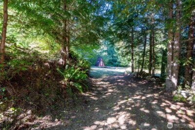 31729 558th St E , Ashford, WA 98304 - Photo 2