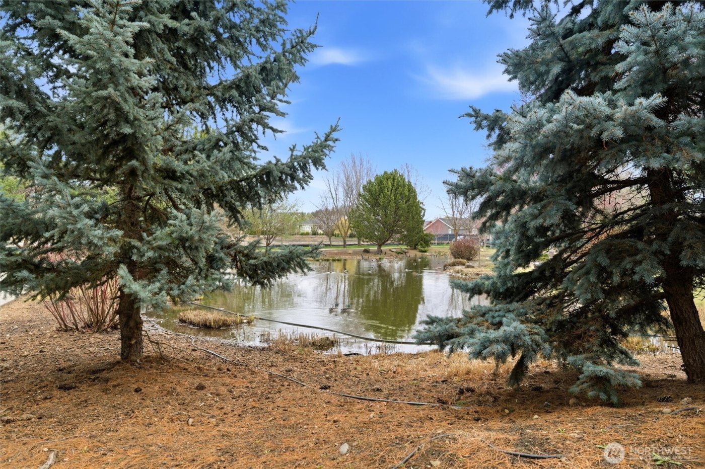 711 SE Swainson Lane , College Place, WA 99324