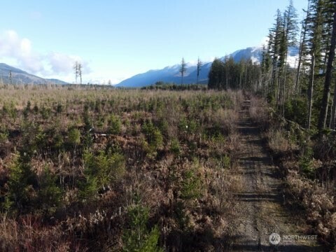 9523 Heady Road , Sumas, WA 98295