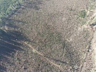 9523 Heady Road , Sumas, WA 98295