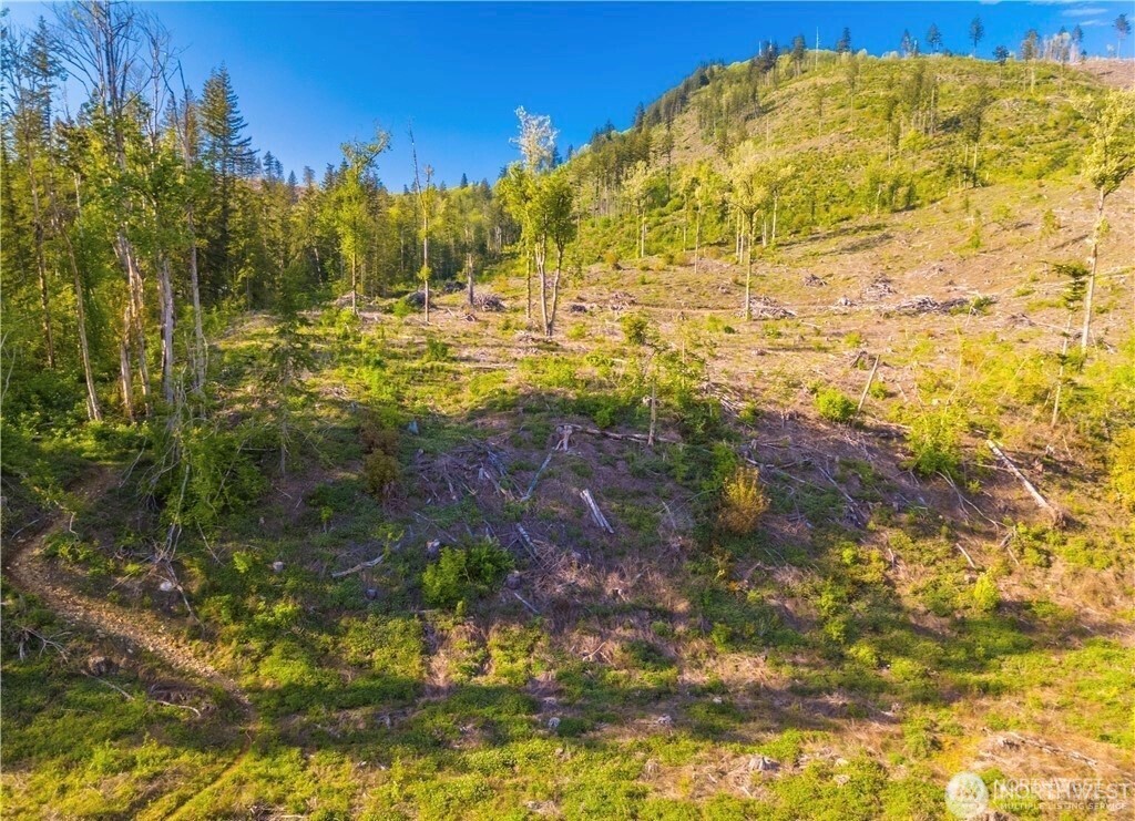 9523 Heady Road , Sumas, WA 98295