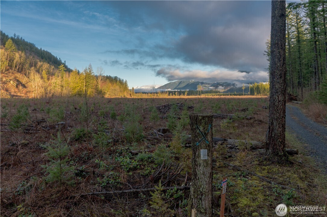 9523 Heady Road , Sumas, WA 98295