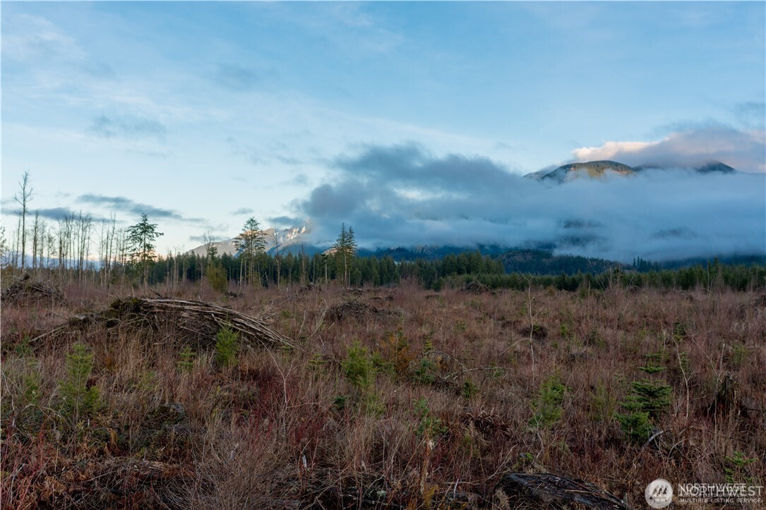 9523 Heady Road , Sumas, WA 98295