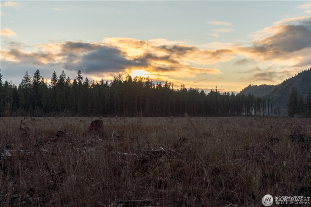 9523 Heady Road , Sumas, WA 98295