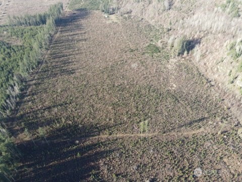 9523 Heady Road , Sumas, WA 98295