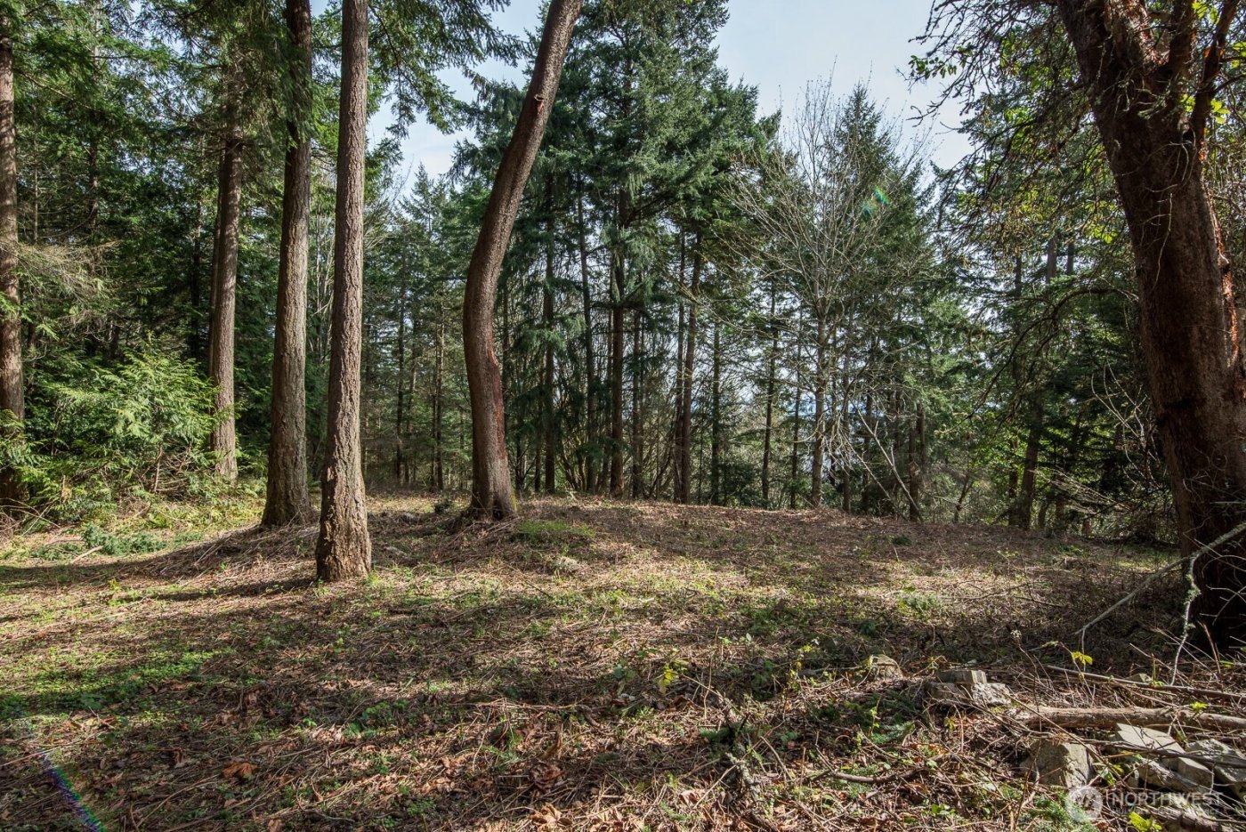 0 nhn Hummingbird Lane , Anacortes, WA 98221