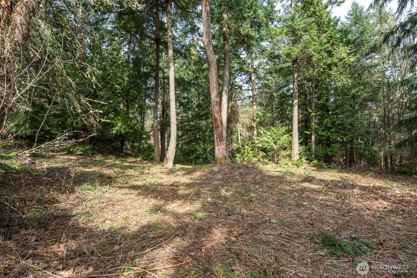 0 nhn Hummingbird Lane , Anacortes, WA 98221