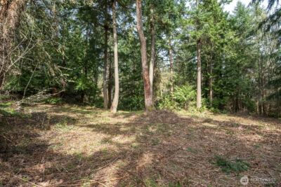 0 nhn Hummingbird Lane , Anacortes, WA 98221 - Photo 8