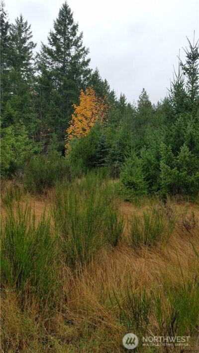 1140 1180 W California Road , Shelton, WA 98584