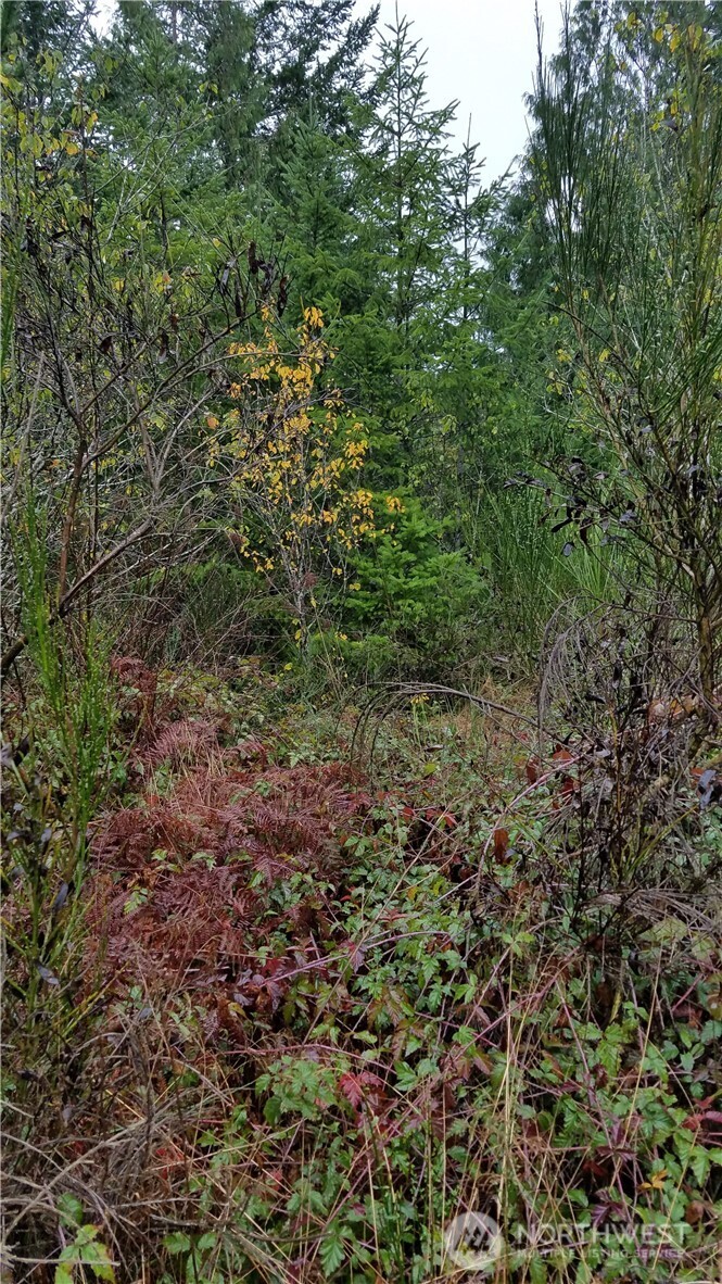 1140 1180 W California Road , Shelton, WA 98584