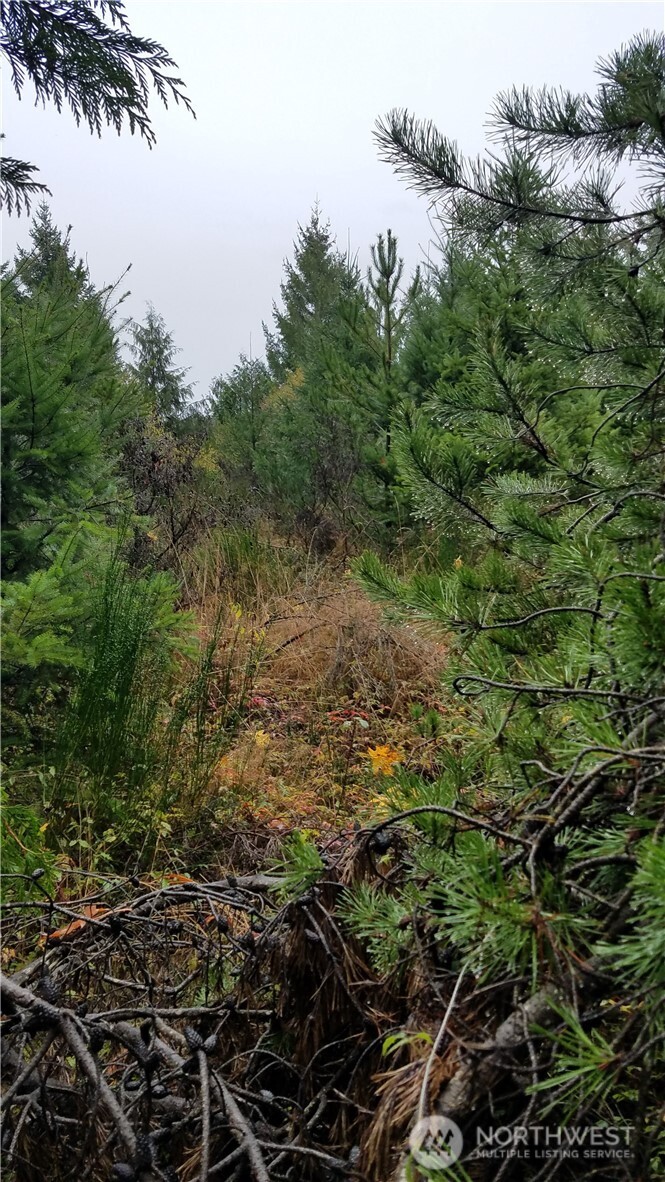 1140 1180 W California Road , Shelton, WA 98584