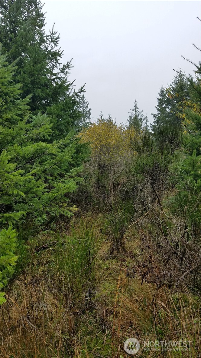 1140 1180 W California Road , Shelton, WA 98584