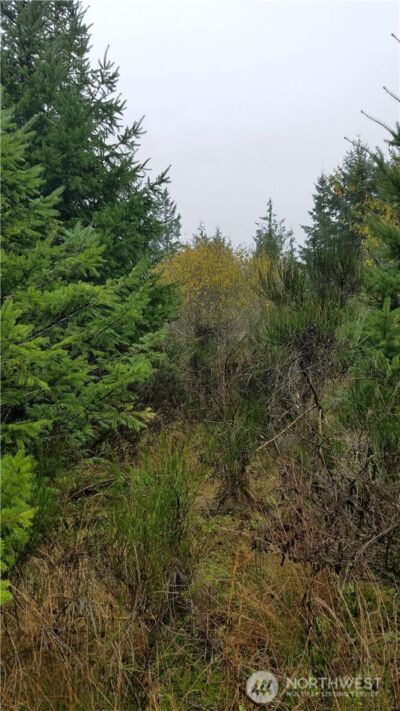 1140 1180 W California Road , Shelton, WA 98584 - Photo 4