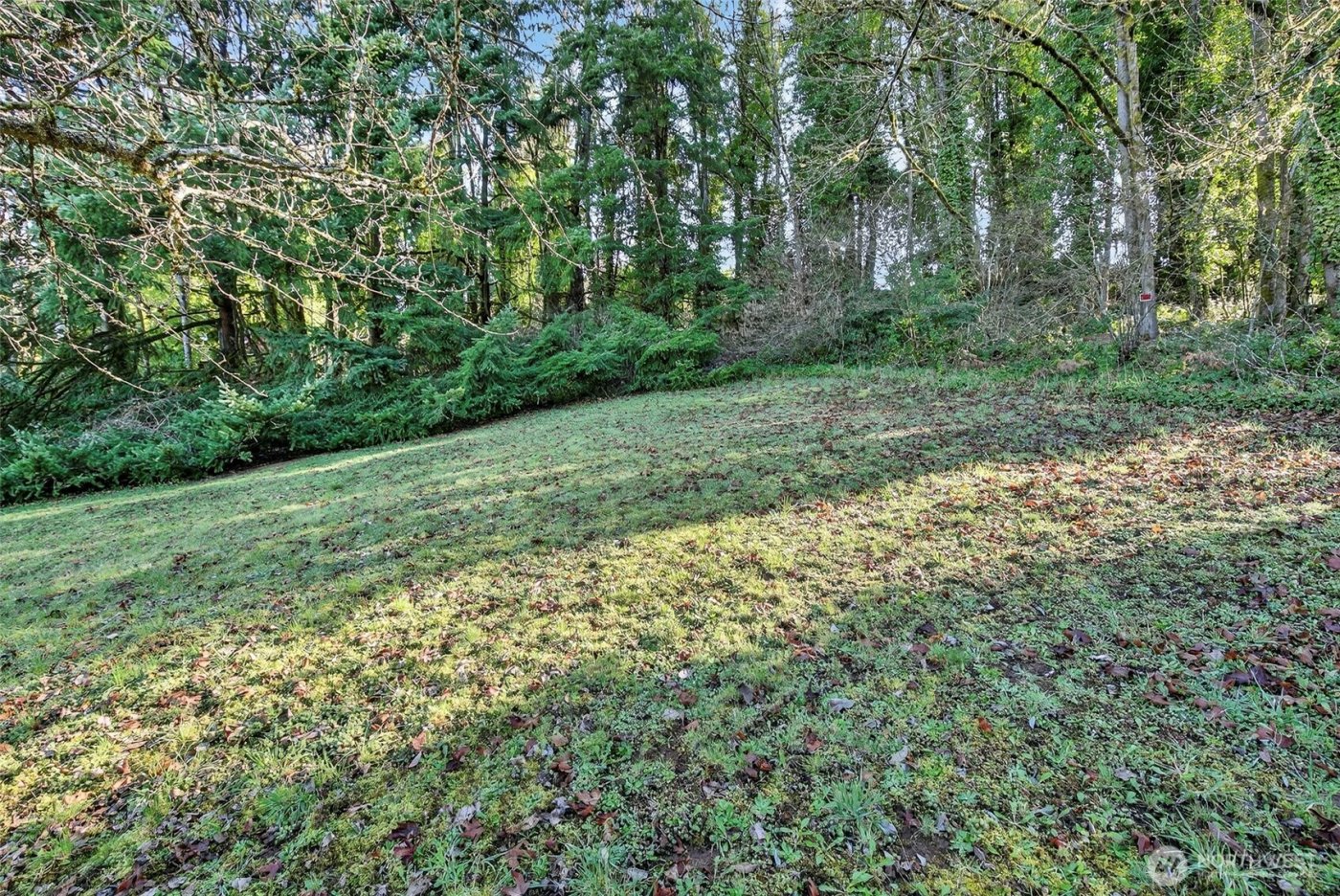 312 SE 2nd Street , Winlock, WA 98596