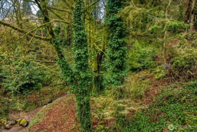 0 S Dash Point Road , Federal Way, WA 98003 - Photo 5