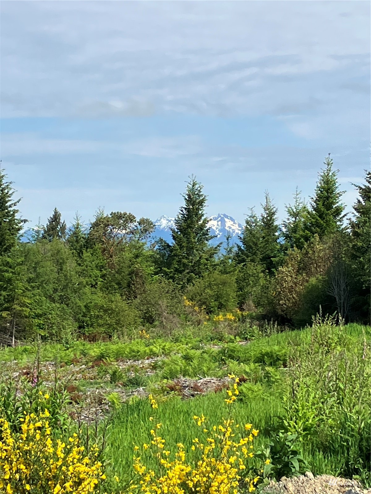 1 E Lone Fir Dr Road E, Shelton, WA 98584