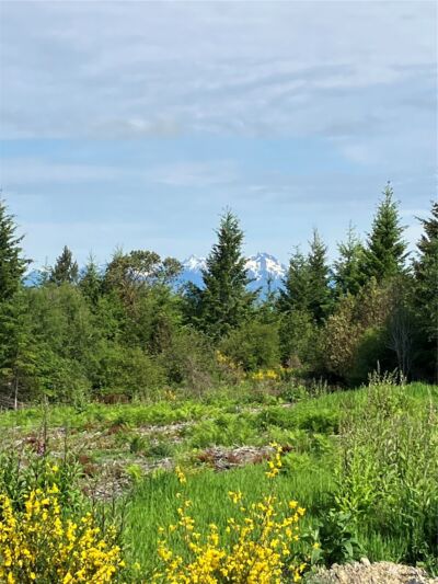 1 E Lone Fir Dr Road E, Shelton, WA 98584