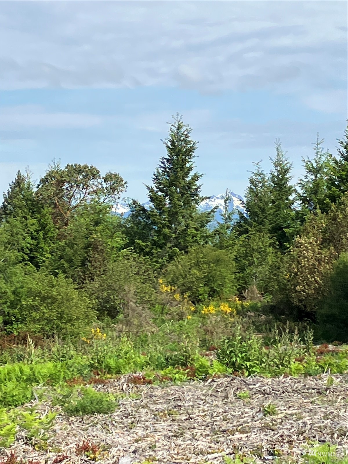 1 E Lone Fir Dr Road E, Shelton, WA 98584