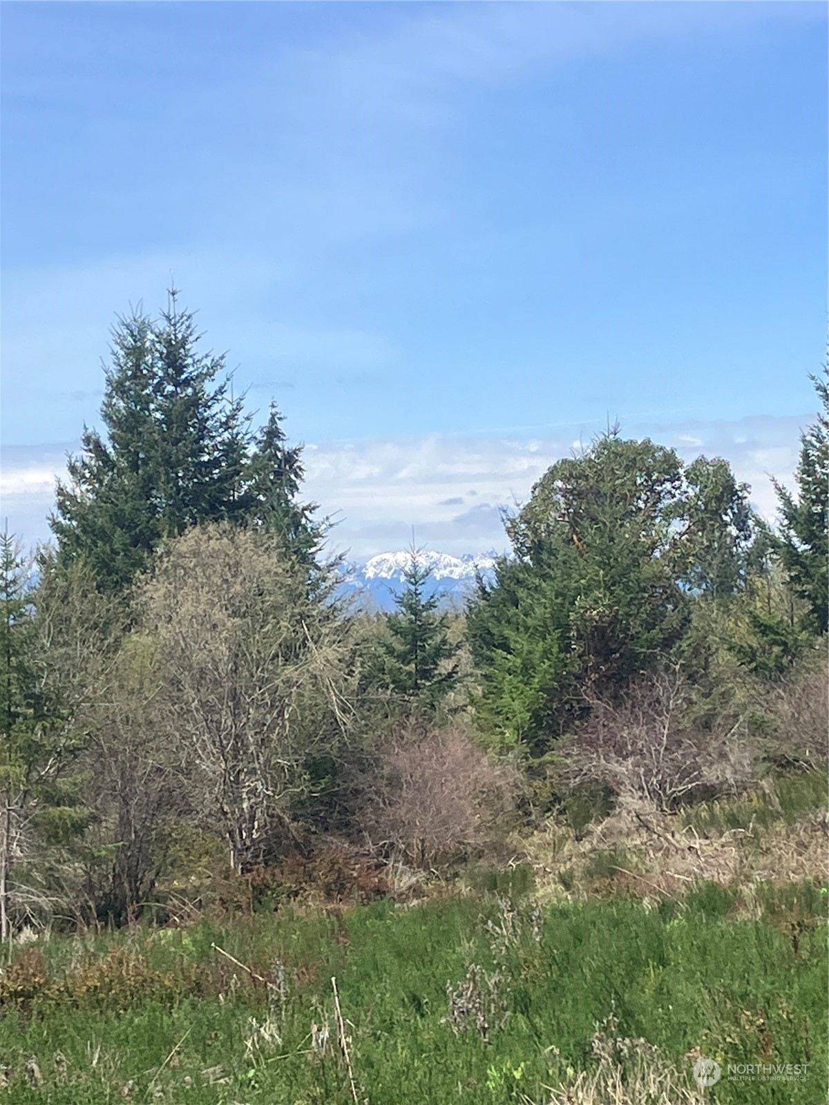 1 E Lone Fir Dr Road E, Shelton, WA 98584