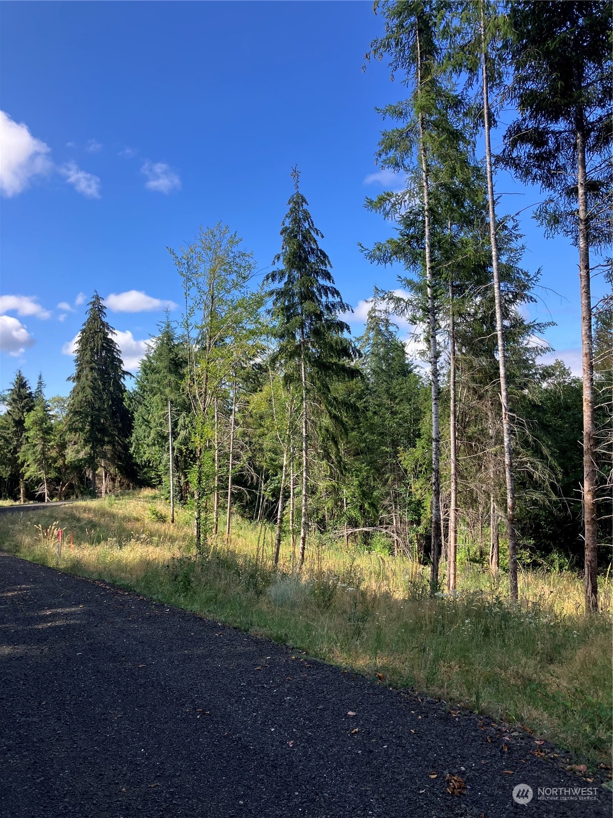 6 E Swindlers Cove Road E, Shelton, WA 98584