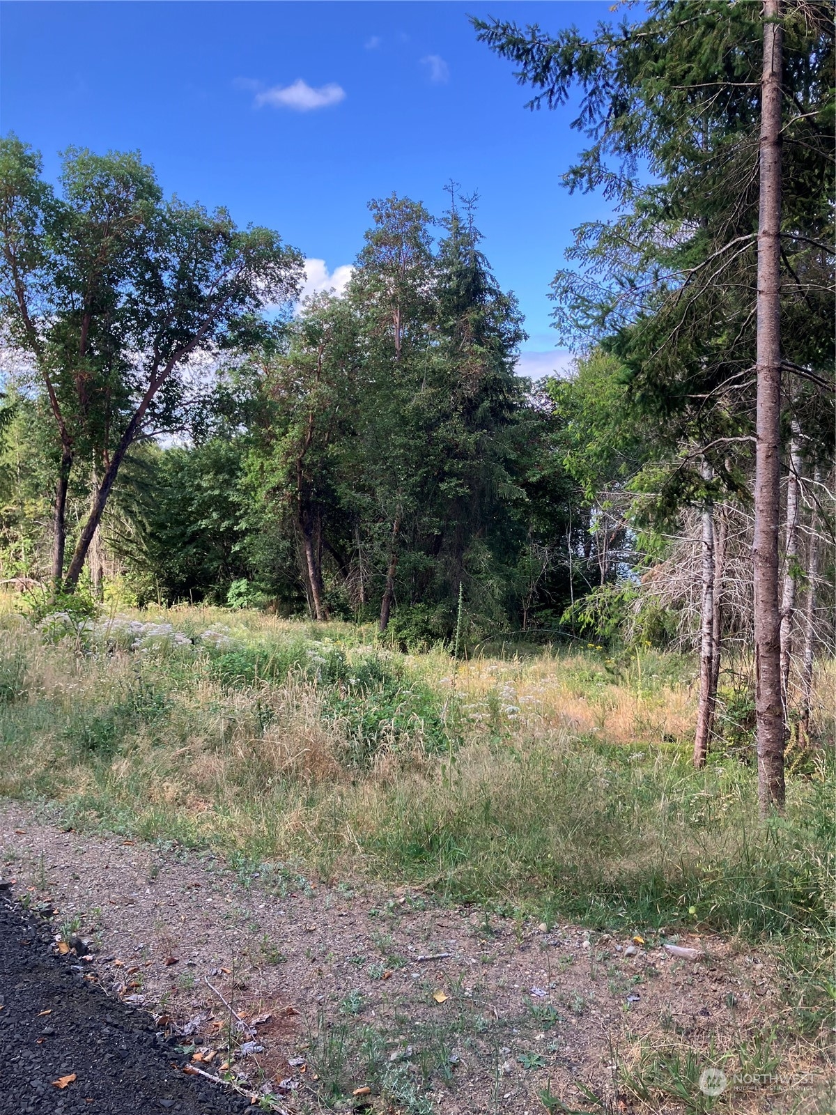 7 E Swindlers Cove Road E, Shelton, WA 98584