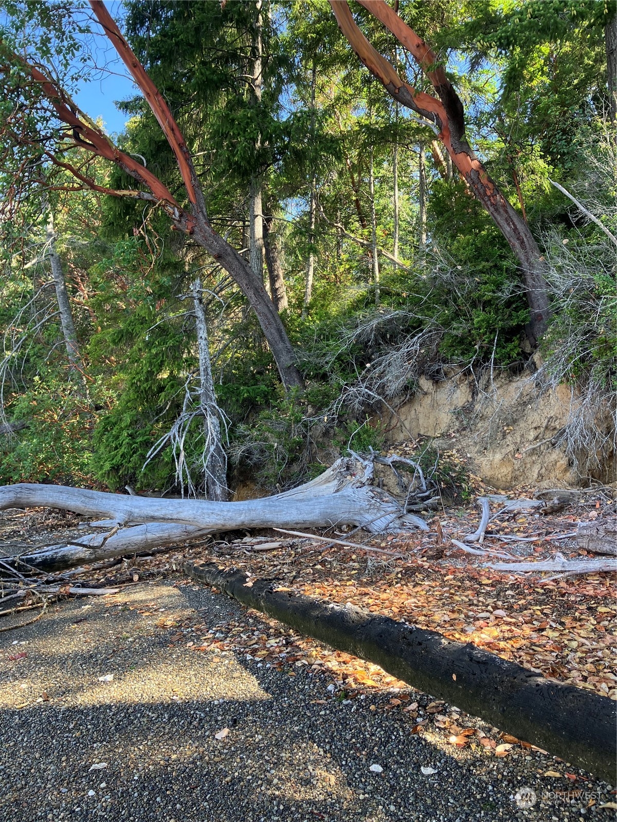 7 E Swindlers Cove Road E, Shelton, WA 98584