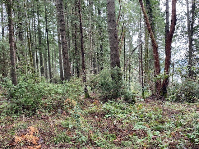 0 Bear Street , Shelton, WA 98584