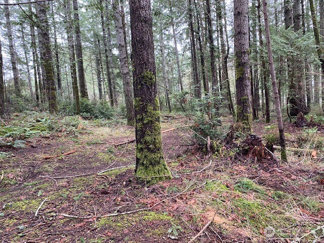 0 Bear Street , Shelton, WA 98584