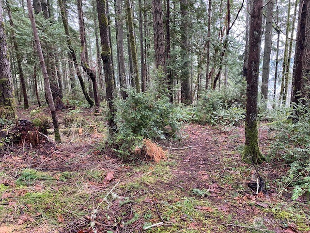 0 Bear Street , Shelton, WA 98584