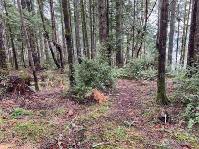 0 Bear Street , Shelton, WA 98584