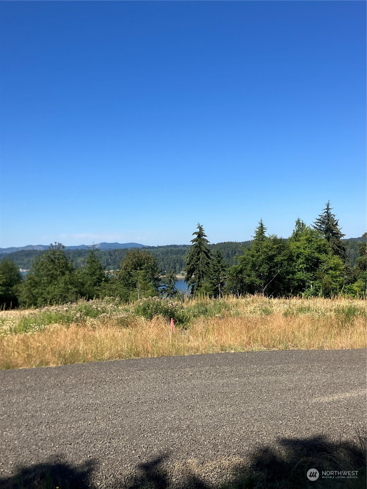 3 E Lone Fir Drive Drive E #Div 2, Shelton, WA 98584