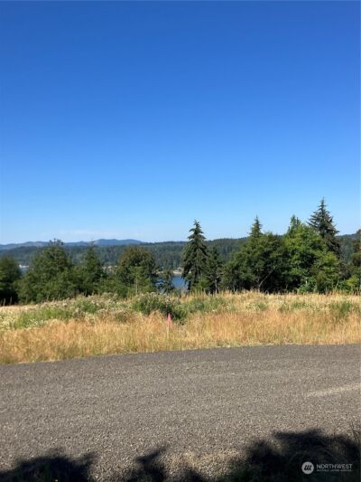 3 E Lone Fir Drive Drive E #Div 2, Shelton, WA 98584