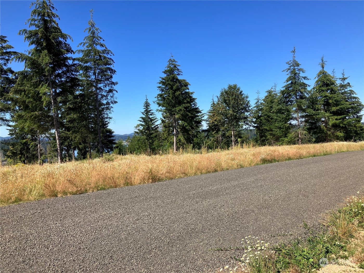 3 E Lone Fir Drive Drive E #Div 2, Shelton, WA 98584