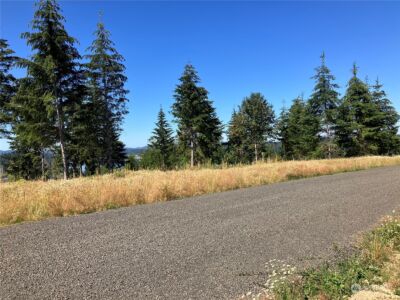 3 E Lone Fir Drive Drive E #Div 2, Shelton, WA 98584 - Photo 2