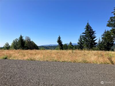 3 E Lone Fir Drive Drive E #Div 2, Shelton, WA 98584 - Photo 3
