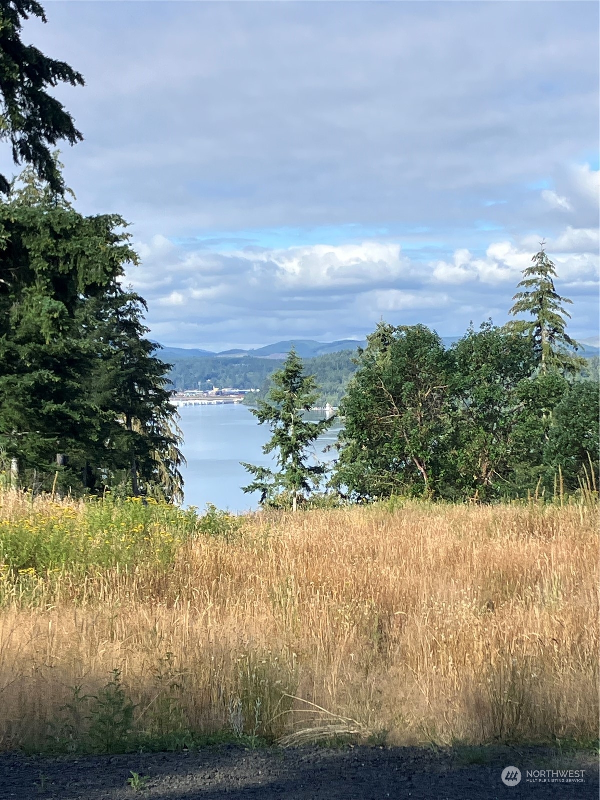 3 E Lone Fir Drive Drive E #Div 2, Shelton, WA 98584