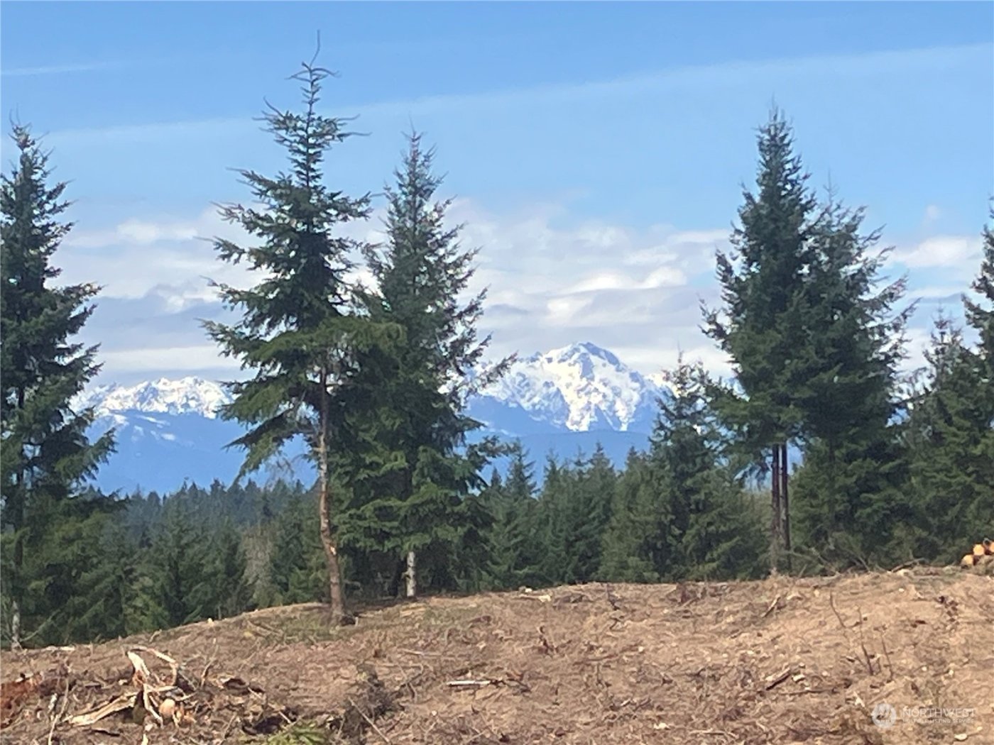 3 E Lone Fir Drive Drive E #Div 2, Shelton, WA 98584