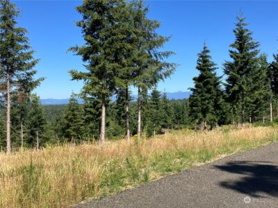 1 E Lone Fir Drive Drive E #Div 2, Shelton, WA 98584 - Photo 2