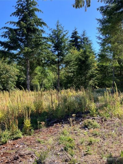 1 E Lone Fir Drive Drive E #Div 2, Shelton, WA 98584 - Photo 3