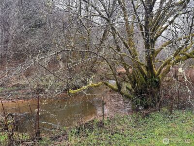 310 Butte Creek Road , Raymond, WA 98577 - Photo 24