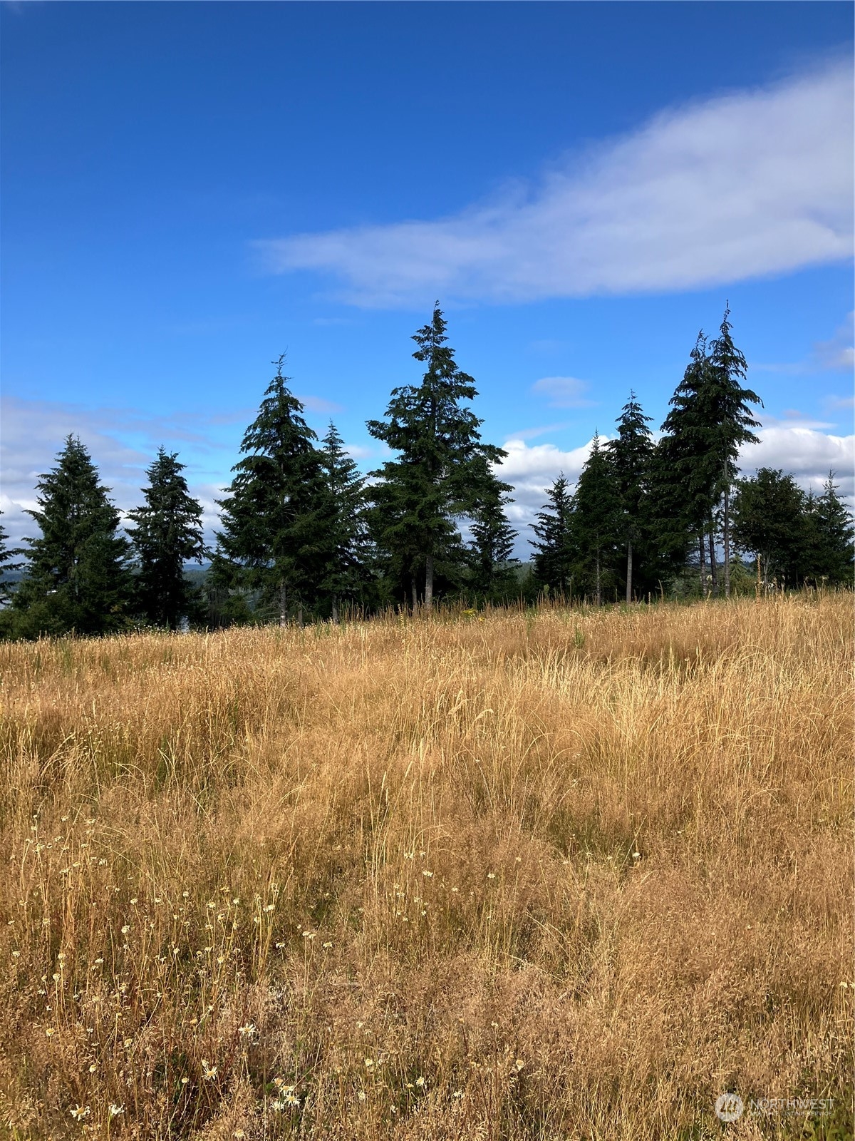 5 E Lone Fir Drive Drive E #Div 2, Shelton, WA 98584