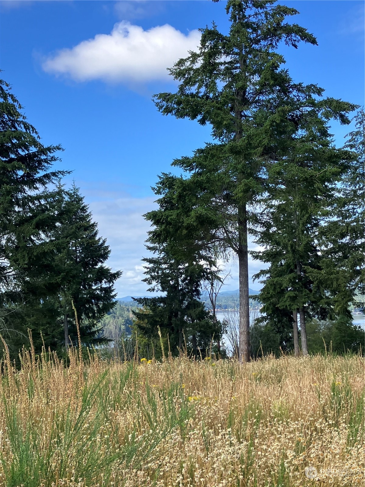 5 E Lone Fir Drive Drive E #Div 2, Shelton, WA 98584